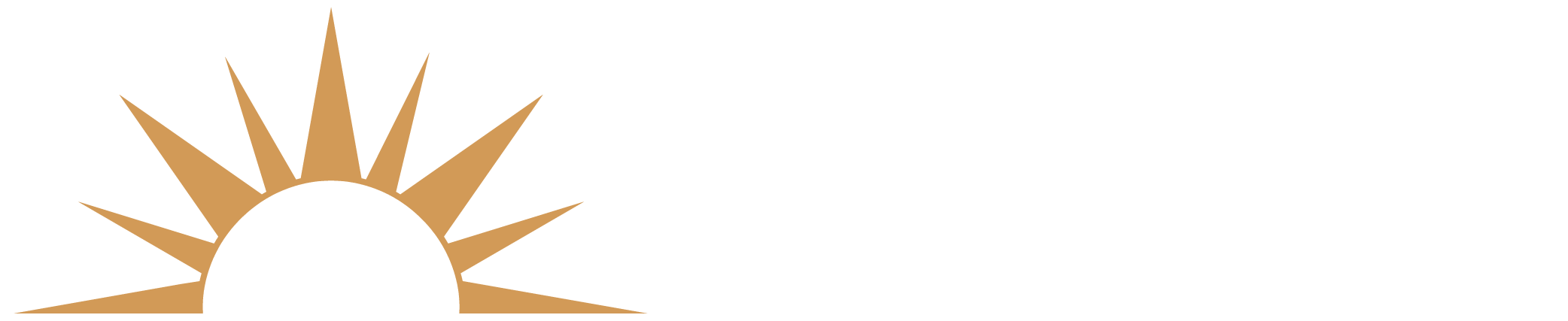 Sola Stella Developments Logo